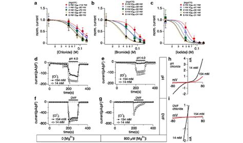 Relationship Between Halide Induced Inhibition Of Trpm7 And