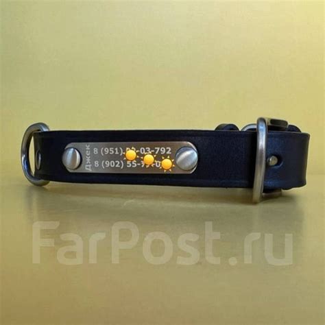 Ошейники для животных с гравировкой, собак, кошек, в наличии в Уссурийске