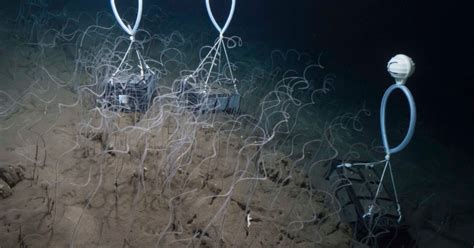 investigadores  mare em estudo pioneiro  mar profundo mare