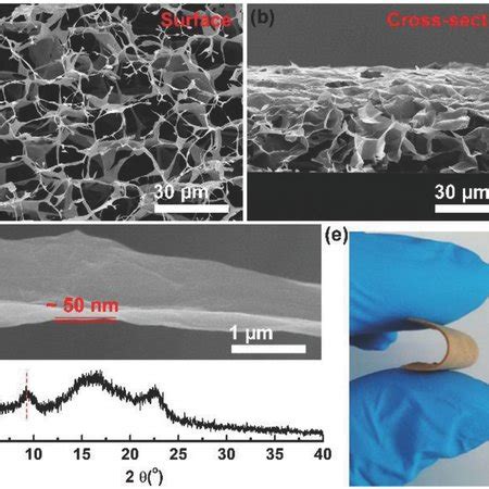 SEM Images Of 3D SGO Networks A Surface B Crosssection And C