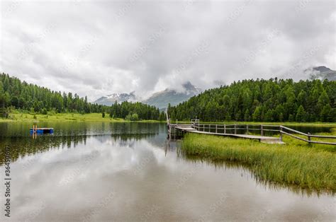 St Moritz Stazersee Bergsee Stazerwald Holzsteg Wasserpflanzen