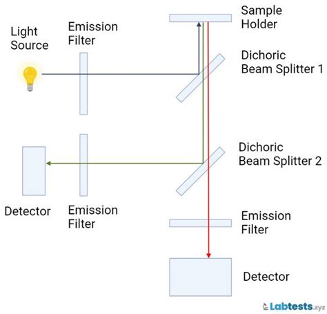 Fluorometer : Principle (Fluorometry), Types, Diagrams and Applications ...