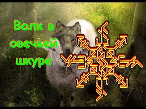 🎭 🐲И кто у нас тут ВОЛК в овечьей ШКУРЕ? - ответят и покажут руны - YouTube