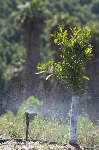 Farm And Ranch Funding For Healthy Soils And Water Management Topics