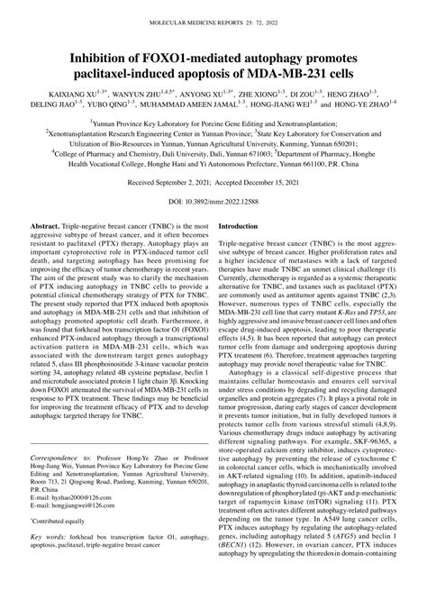 Pdf Inhibition Of Foxo1‑mediated Autophagy Promotes Paclitaxel