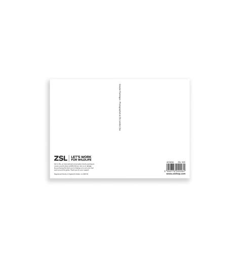 Flamingos Heart | London Zoo | Whipsnade Zoo Postcard – ZSL Shop