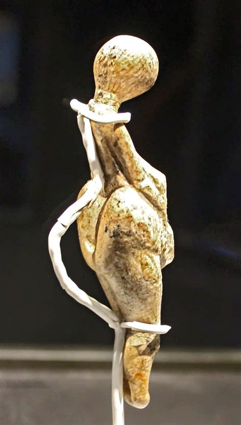 Venus figures from the Kostenki - Borshevo region on the Don River
