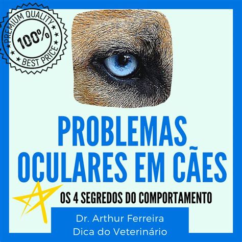 Como Acabar Problemas Oculares Em C Es Remela E Secre O Nos