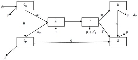 Schematic diagram showing the dynamics of the model. | Download ...