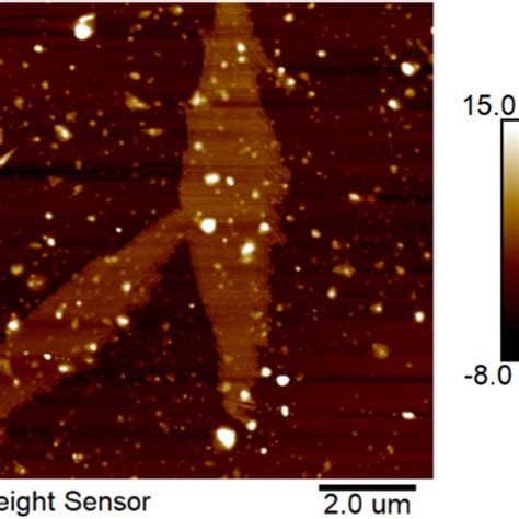 Raman Spectroscopy Of Gnps And Ni Gnps Download Scientific Diagram