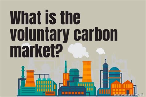 What Is The Voluntary Carbon Market