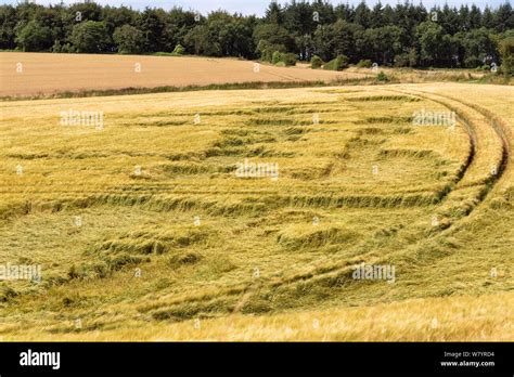 Cheltenham Gloucestershire England Uk Storm Damaged Crops In A