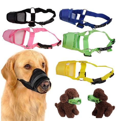 All Dog Collars & Leashes - Walmart.com