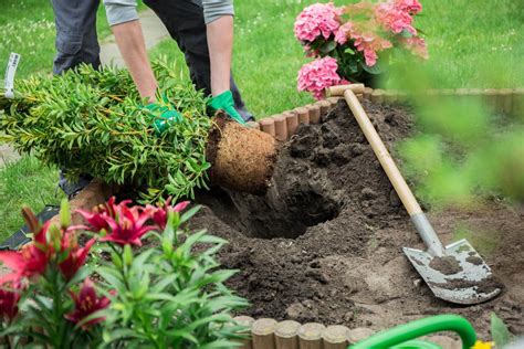 Pourquoi Faire Appel Un Paysagiste Pour Am Nager Son Jardin Acse