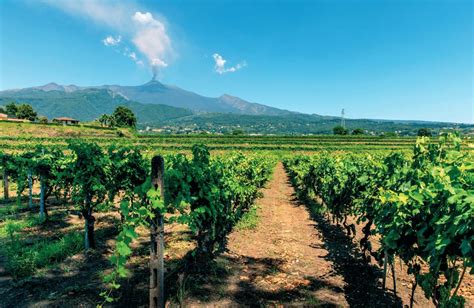 Caccia Al Casale Con Vigna Sull Etna Ville Casali