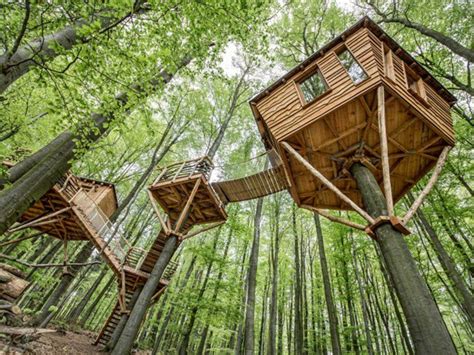 Cabanes dans les arbres 45 idées de construction et déco Baumhaus