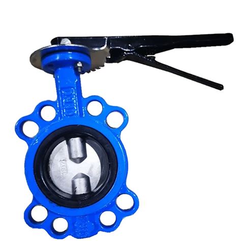 Dn2200 U Type Flanged Butterfly Valve In 1 4462 Duplex Stainless Steel