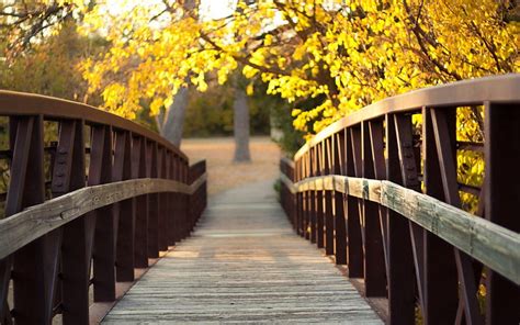 Wooden Bridge Tree Nature Park Bridge HD Wallpaper Peakpx