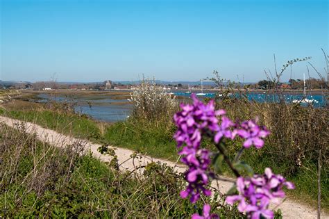 England - Chidham Coastal Path | Trail Exposure