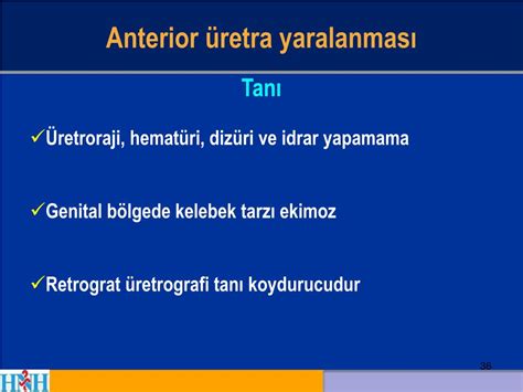 PPT Mesane ve Üretra Yaralanmaları PowerPoint Presentation free