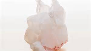 banning of plastic bags in california 11