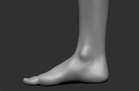 Female Foot 3d Model 25 Obj Ztl Free3d