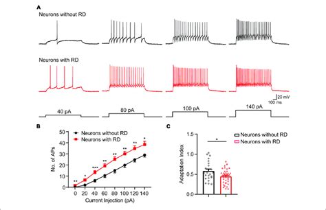 SG Neurons With RD That Have A Tonic Firing Pattern Exhibit Elevated