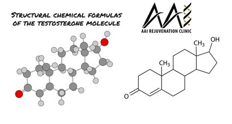 Testosterone Is What Exactly … A Simple Explanation Aai Clinic