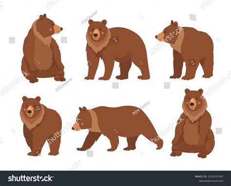 Wild Brown Bear Cartoon Character Flat Stock Vector Royalty Free