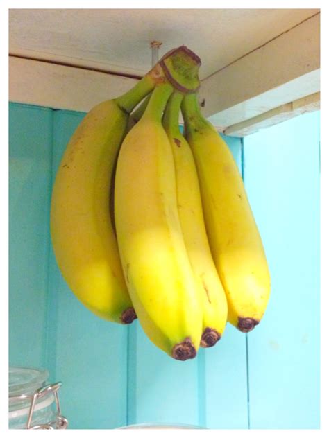 What Vegetables Go Well With Banana At Pam Kirkland Blog