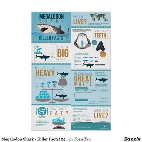 Megalodon Shark Killer Facts X Poster Poster Layout Poster On