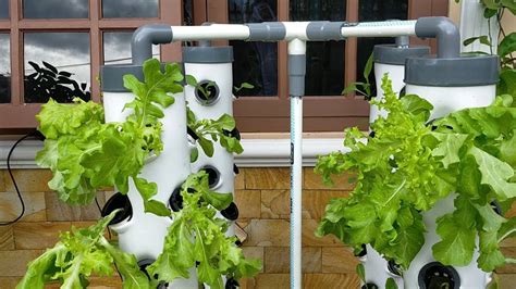 Vertical Hydroponic Gardening Systems | Fasci Garden