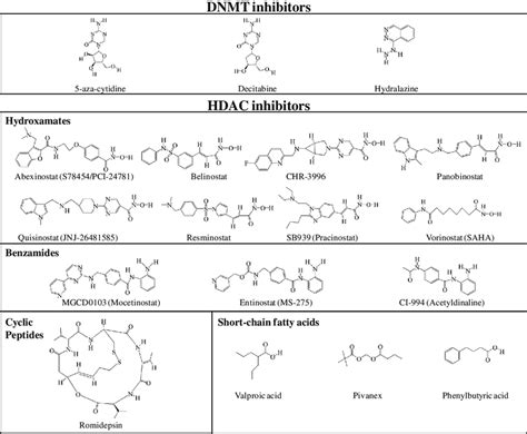 Chemical Structures Of Different Classes Of DNMT And HDAC Inhibitors