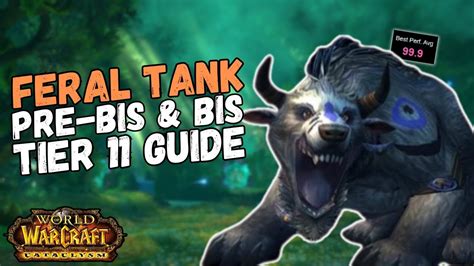 The Feral Druid Tank Pre Bis Bis Guide Cataclysm Classic Youtube