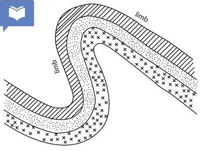 recumbent fold - cameroongcerevision.com