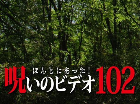 ほんとにあった 呪いのビデオ 102（ネタバレ注意） わいのイッヌが世界一かわいい