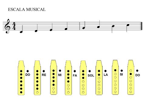 Em Uma Flauta As Notas Musicais