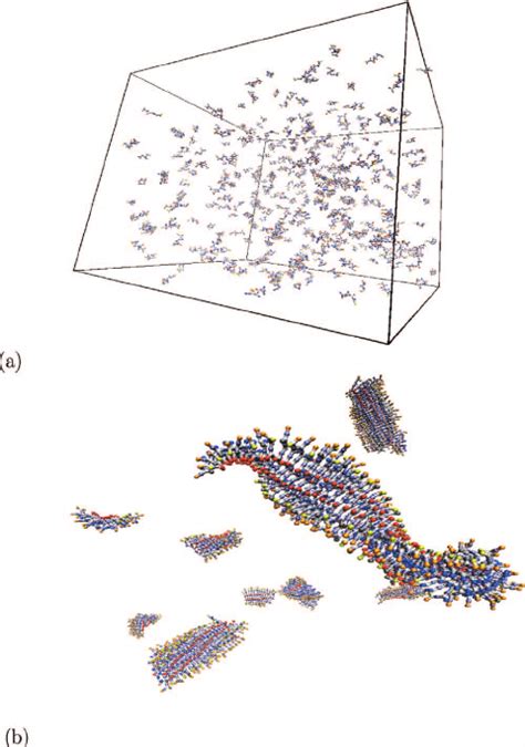 ͑ Color ͒ Representative Snapshots Obtained From Molecular Simulations