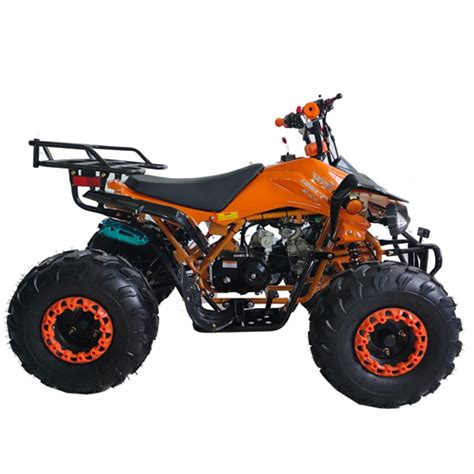 Free Shipping! X-PRO Leopard 125cc ATV with Automatic Transmission w/R ...