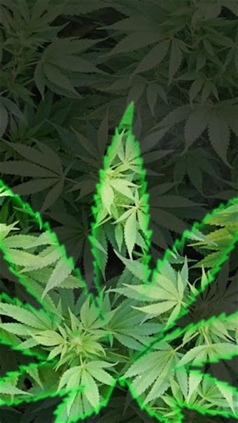 Animated Marijuana Wallpaper - WallpaperSafari