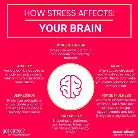 This Is Your Brain This Is Your Brain On Stress Stress Is A Whole