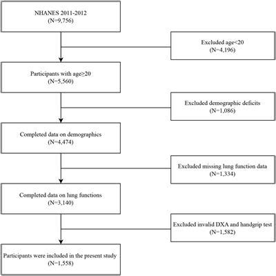 Frontiers Associations Between The Muscle Quality Index And Adult