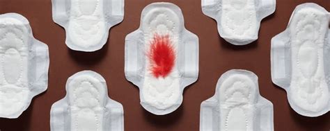 Should You Have Sex During Periods