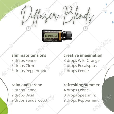 Diffuser Blends Fennel By Roberta Primay