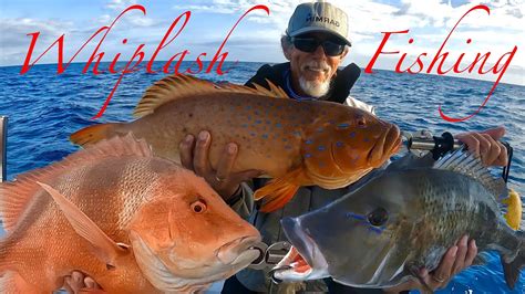 ROUGH AND RUGGED REEF FISHING Red Emperor Coral Trout And Sweetlip