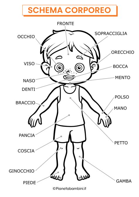 Schema Corporeo Da Stampare E Colorare Pianetabambini It