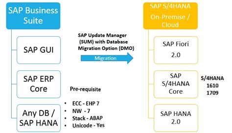 Smart Shift Sap S Hana Migration Entune