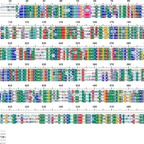 The multiple-sequence alignment of targets and templates sequences was ... 