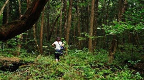 As Es Aokigahara El Bosque De Los Suicidios De Jap N En El Que El