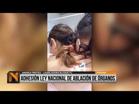 Buscan Que La Provincia Adhiera A Ley Nacional De Ablaci N De Rganos